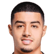 阿纳斯·扎鲁里