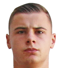 加布里埃尔·维多维奇