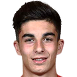 瓦莱里·费尔南德斯·埃斯特拉达